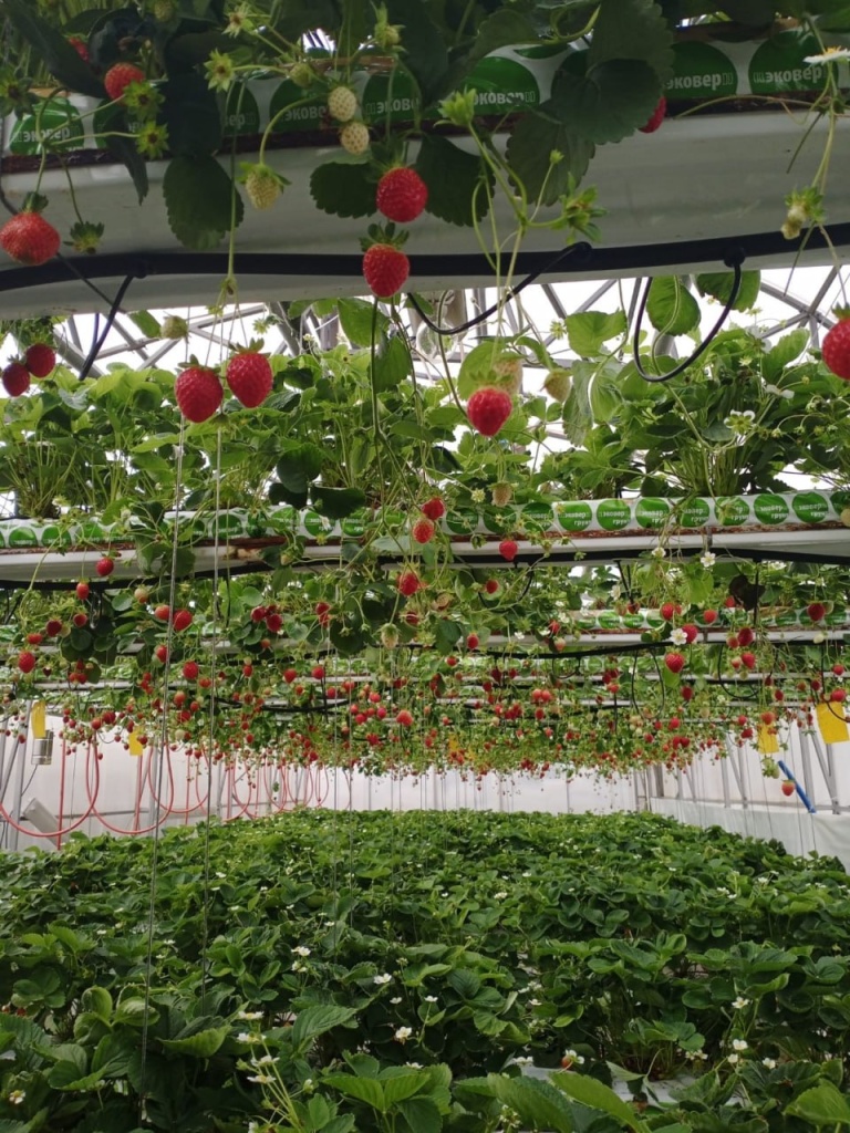 photo_2025-10-03_09-05-37.jpg photo_2025-10-03_09-05-37.jpg