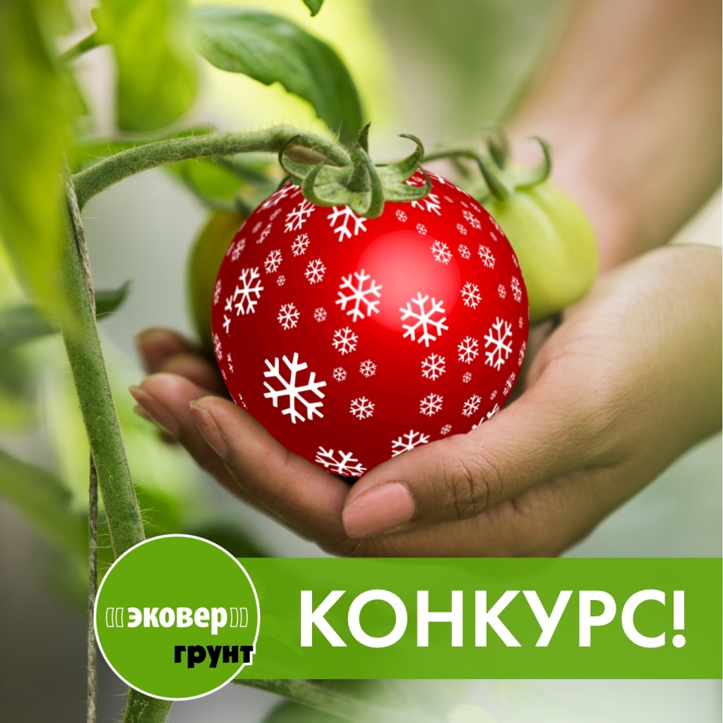 2 пост НГ конкурс ЭГ 21.jpg 2 пост НГ конкурс ЭГ 21.jpg