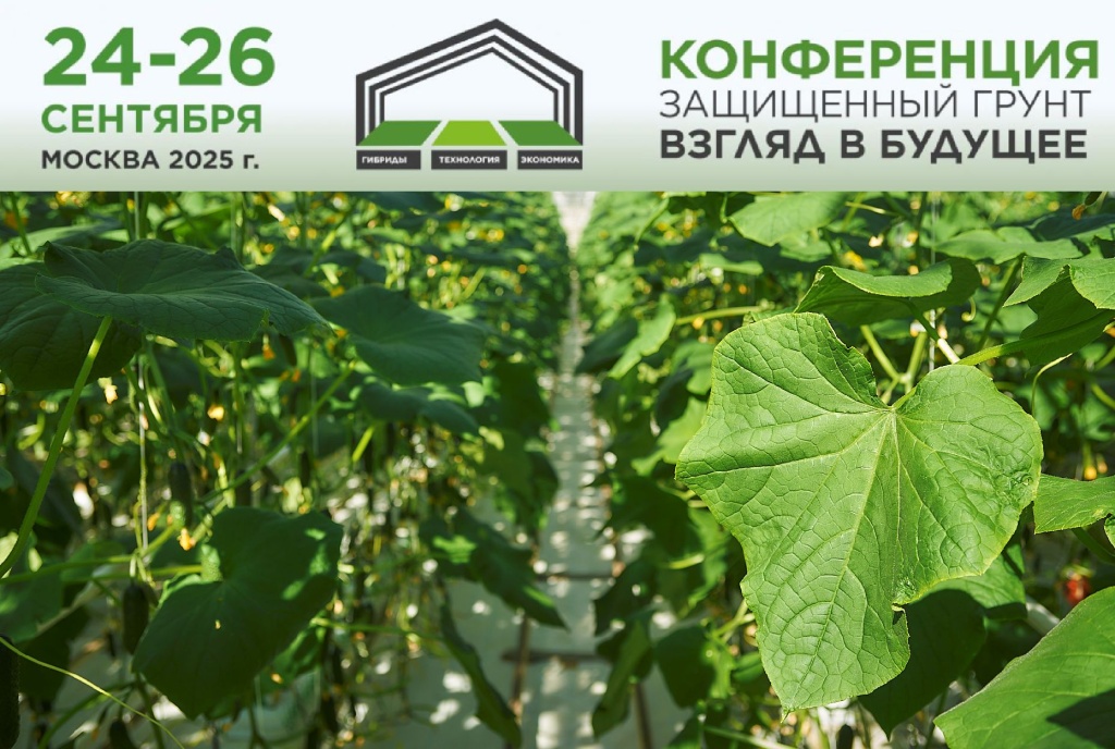 иллюстрация к новости1.jpg