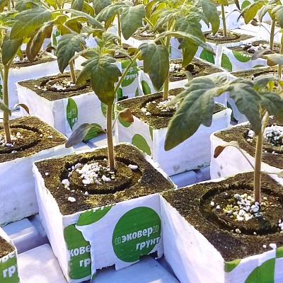 Использование кубиков